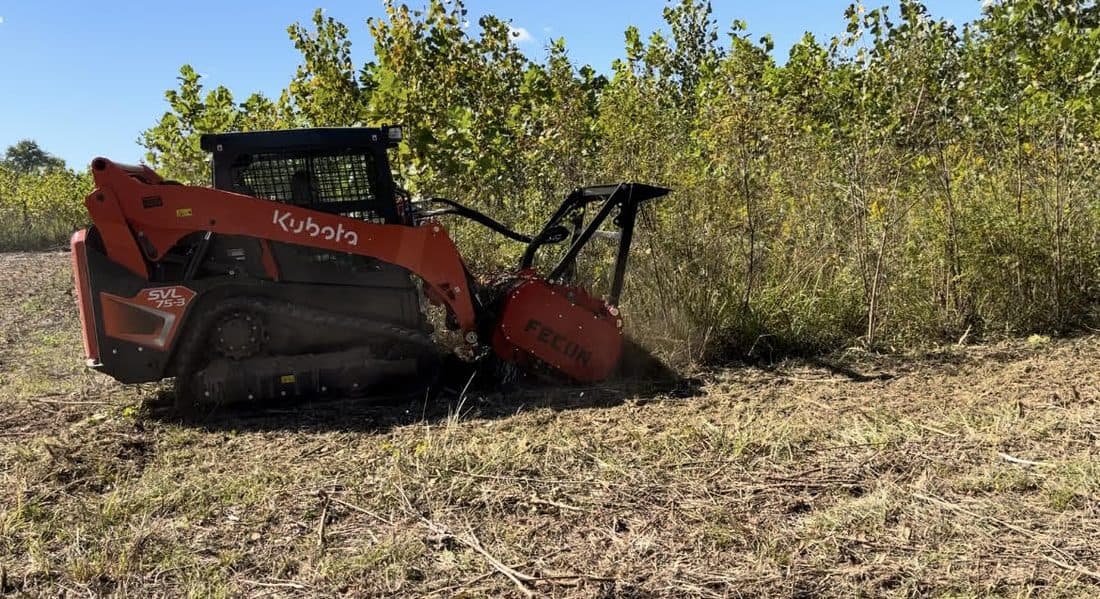 Freshly mulched and cleared land