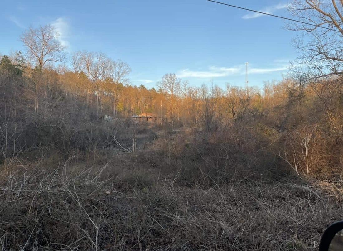 Open field after land clearing