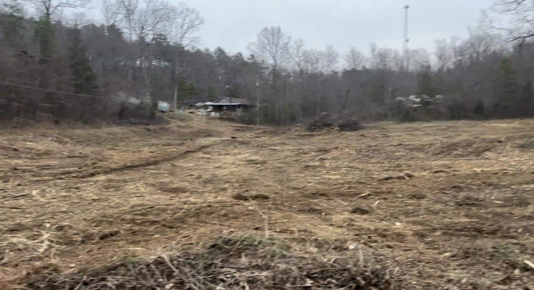 Brush and overgrowth cleared from a property